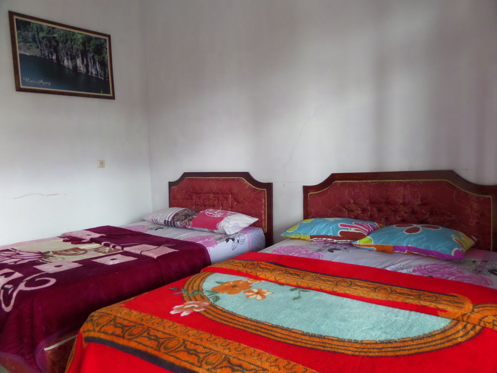 Hotel Nadia Bromo Extérieur photo